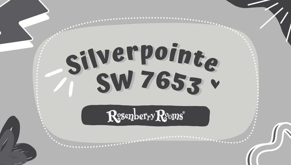 Silverpointe Sw Sherwin Williams Paint Color Review