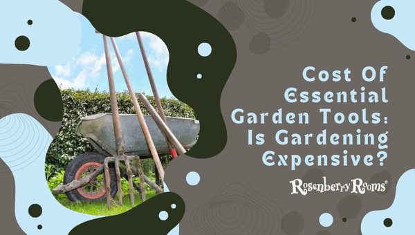 Cost Of Essential Garden Tools: Is Gardening Expensive?