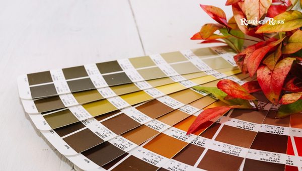 What is Warm Paint Color?