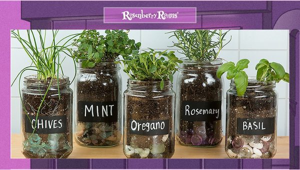 Mason Jar Herb Garden