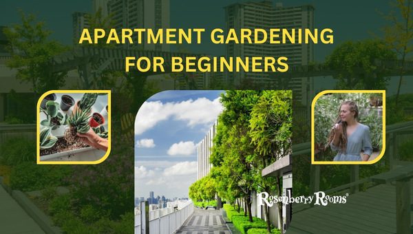 Apartment Gardening For Beginners