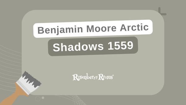 Benjamin Moore Arctic Shadows Can Appear Smoky Blue