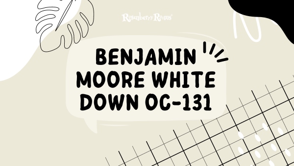 Benjamin Moore White Down OC 131 2 