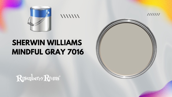 Sherwin Williams Mindful Gray 7016