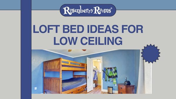 Loft Bed Ideas For Low Ceiling