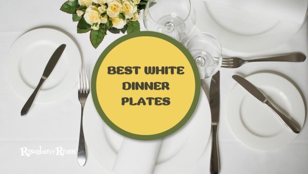 10 Best White Dinner Plates