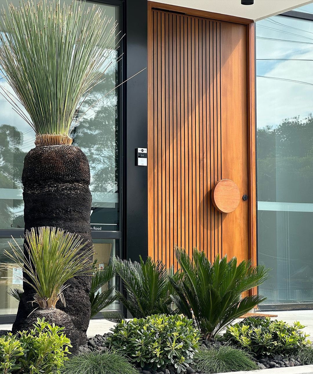 35 Stunning Front Door Plants for Dreamy Entries 2025 15 word image 32877 16