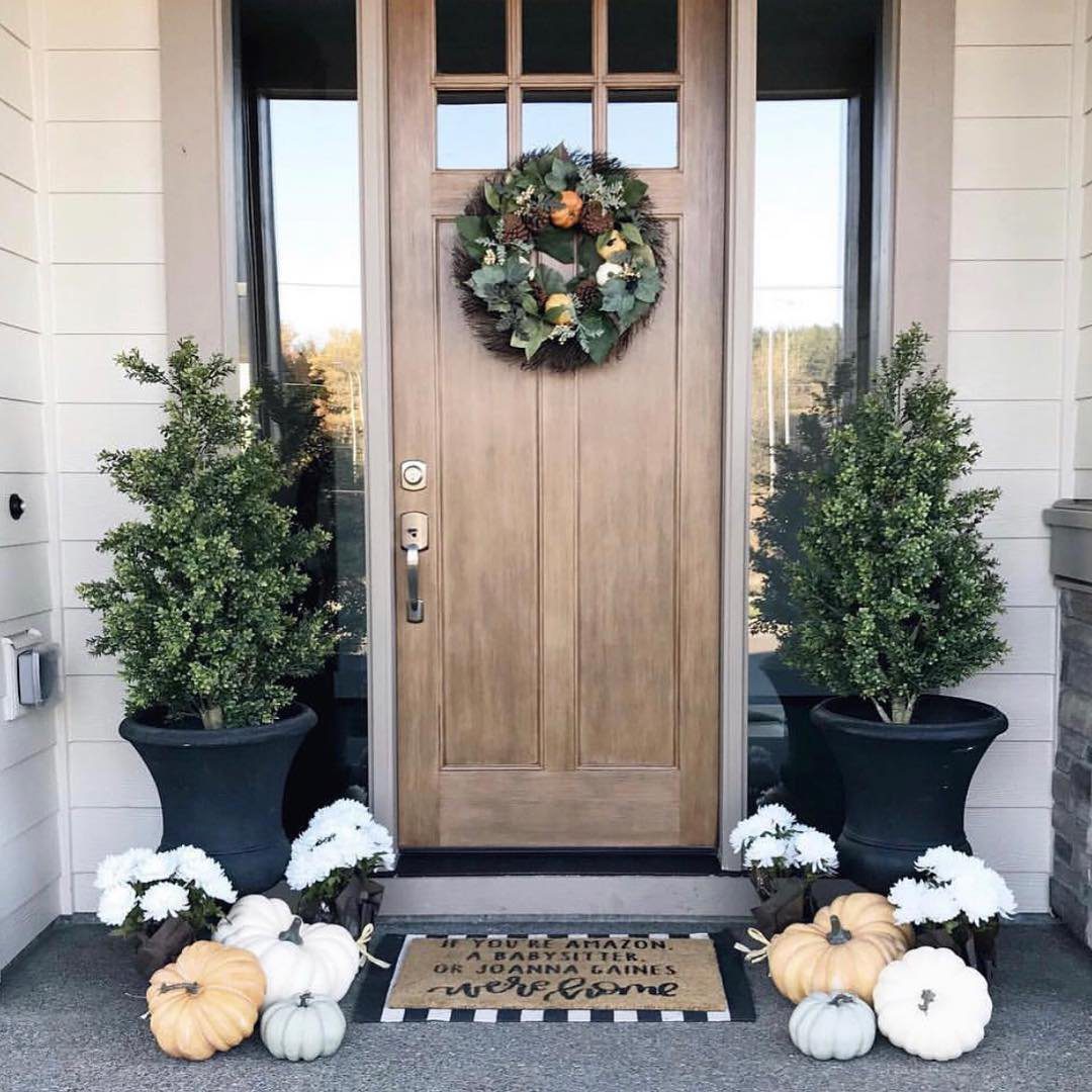 35 Stunning Front Door Plants for Dreamy Entries 2025 18 word image 32877 19