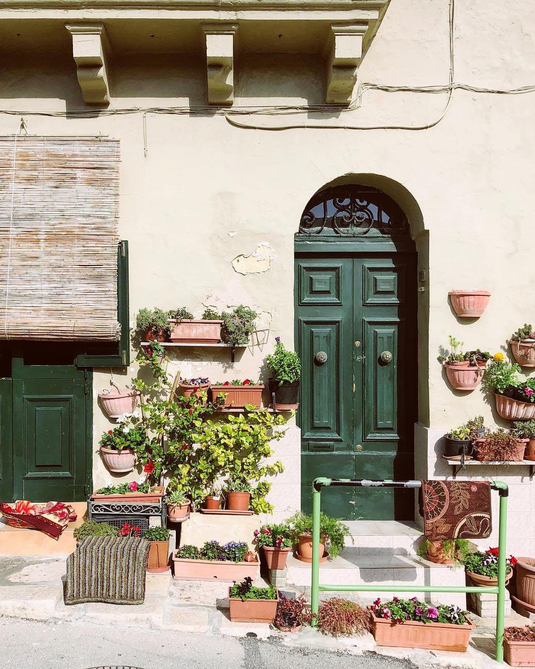 35 Stunning Front Door Plants for Dreamy Entries 2025 1 word image 32877 2
