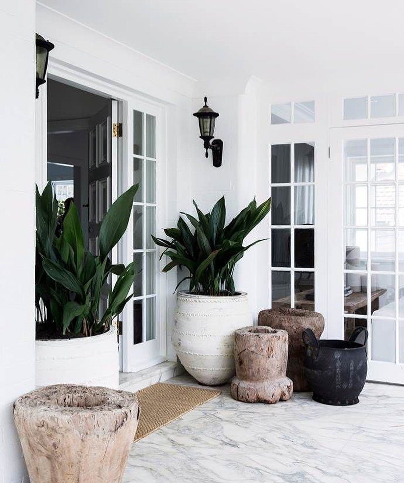 35 Stunning Front Door Plants for Dreamy Entries 2025 3 word image 32877 4