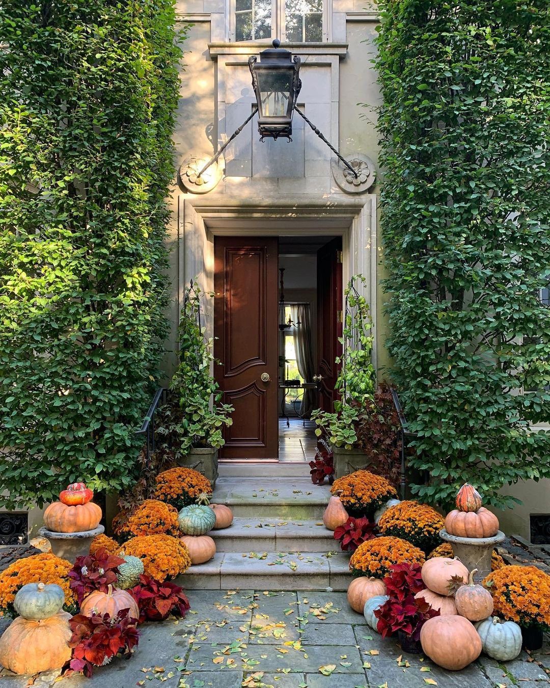 35 Stunning Front Door Plants for Dreamy Entries 2025 8 word image 32877 9