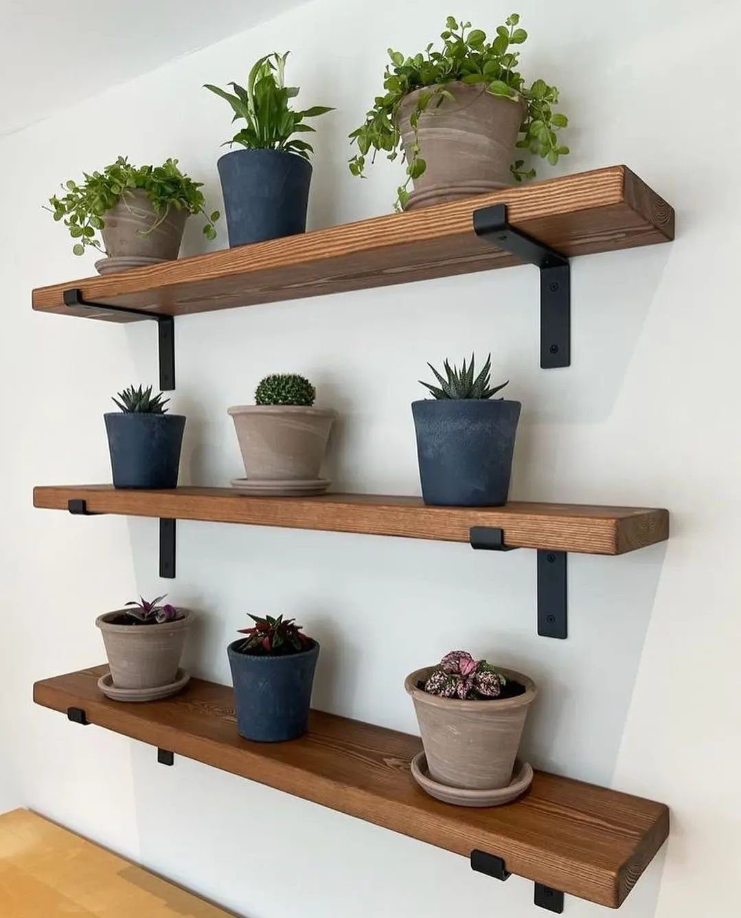 25 Stunning Floating Shelves That Wow in 2025 13 Botanical Display on Rich Wooden Shelves