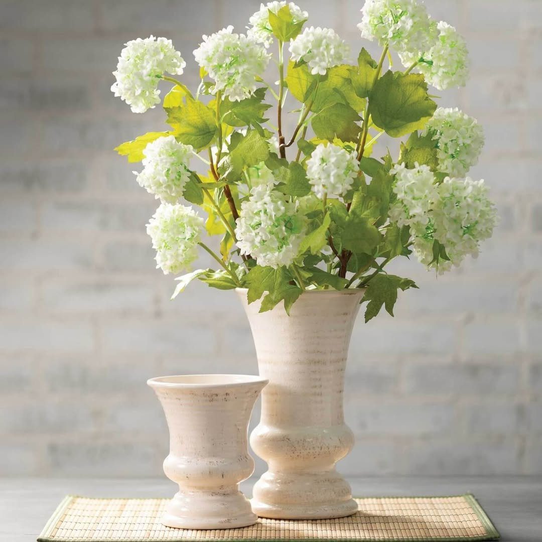 Soft Green Hydrangeas For A Fresh Spring Look