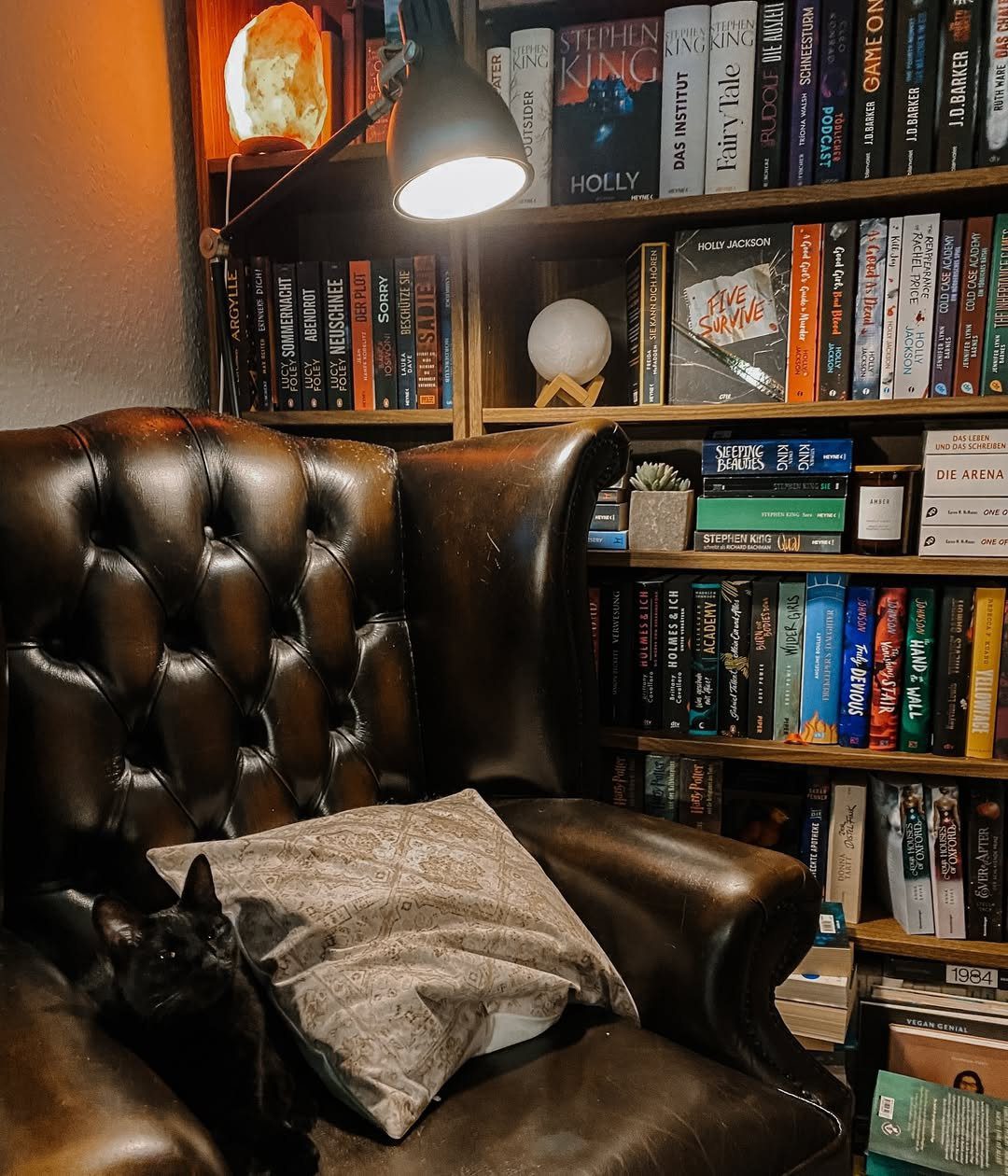 What is Dark Academia Interior Design