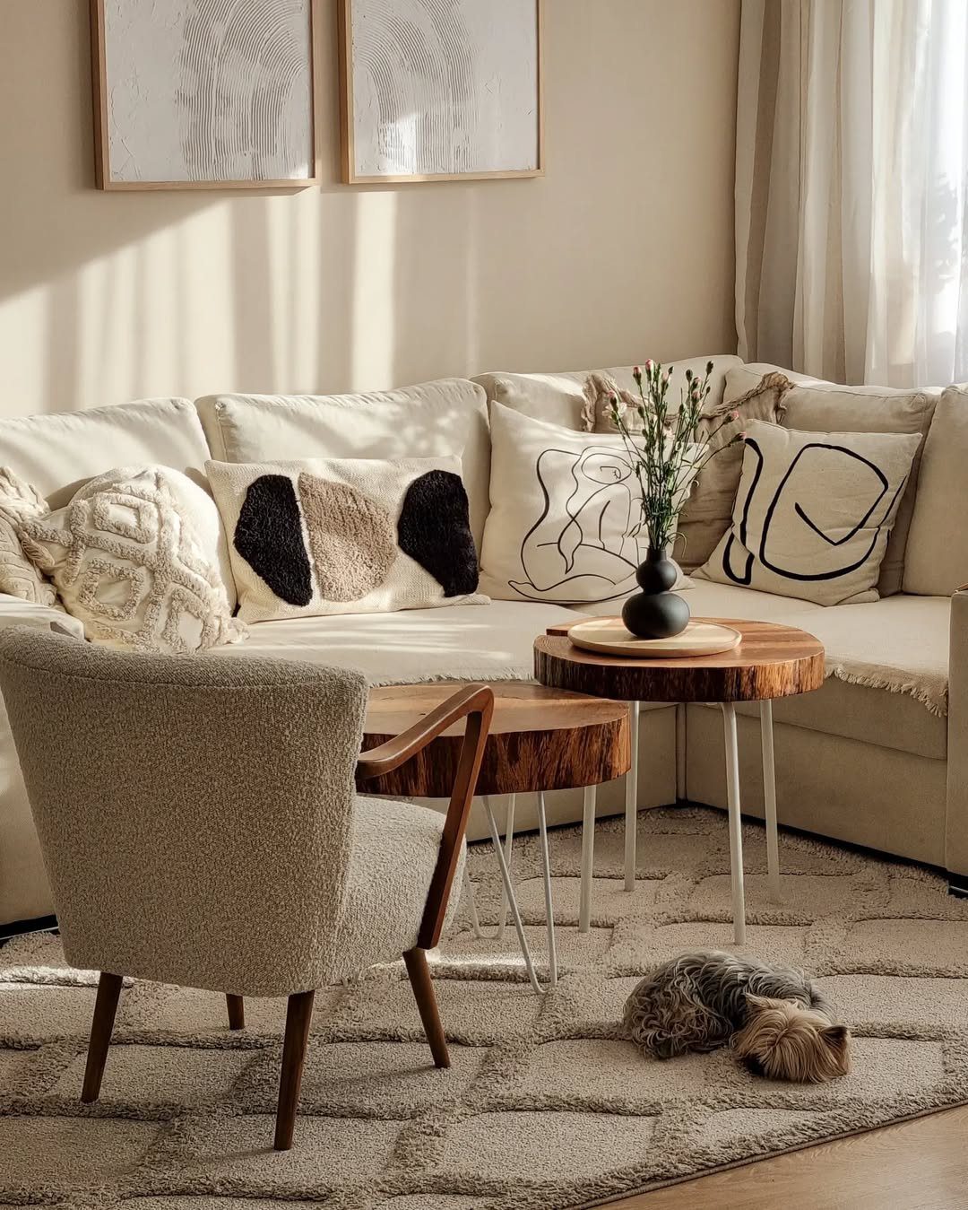 Warm Sunlight And Soft Textures