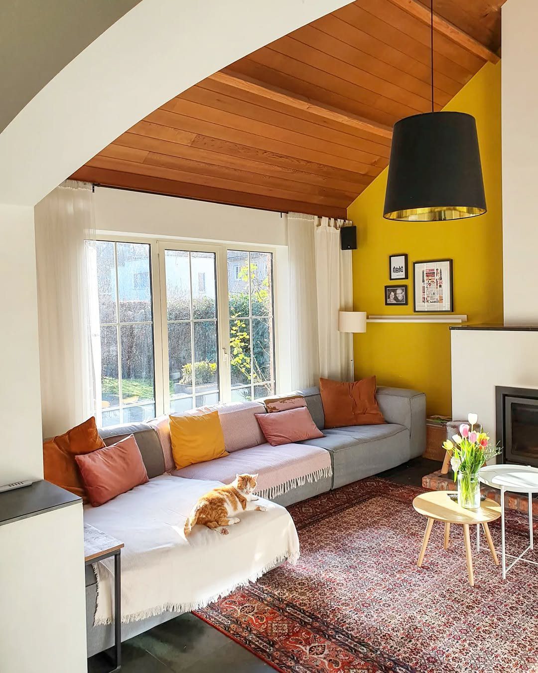 Warm Sunlight And Cozy Elegance
