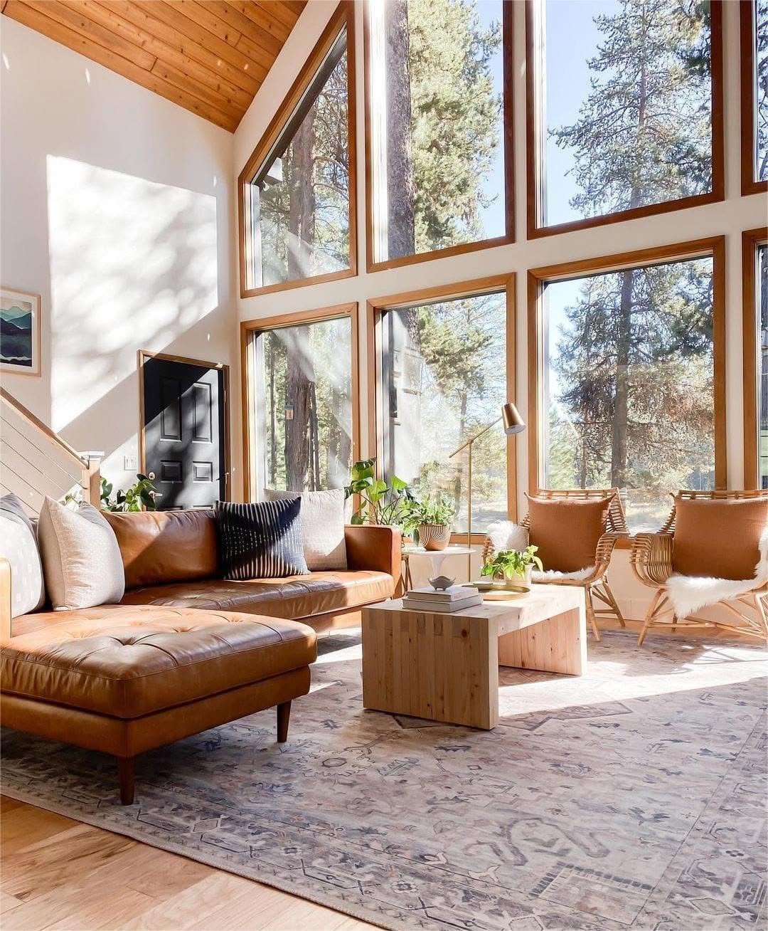 Nature-Framed Light And Warmth