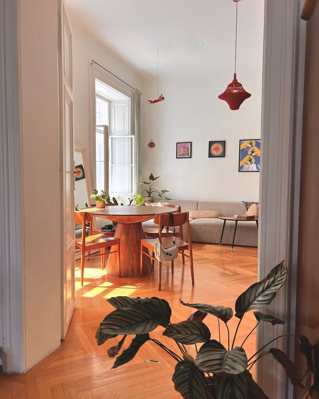 Stunning Sun-Soaked Dining Rooms for 2025! 7 Warm Wood Accents With Sunlit Simplicity