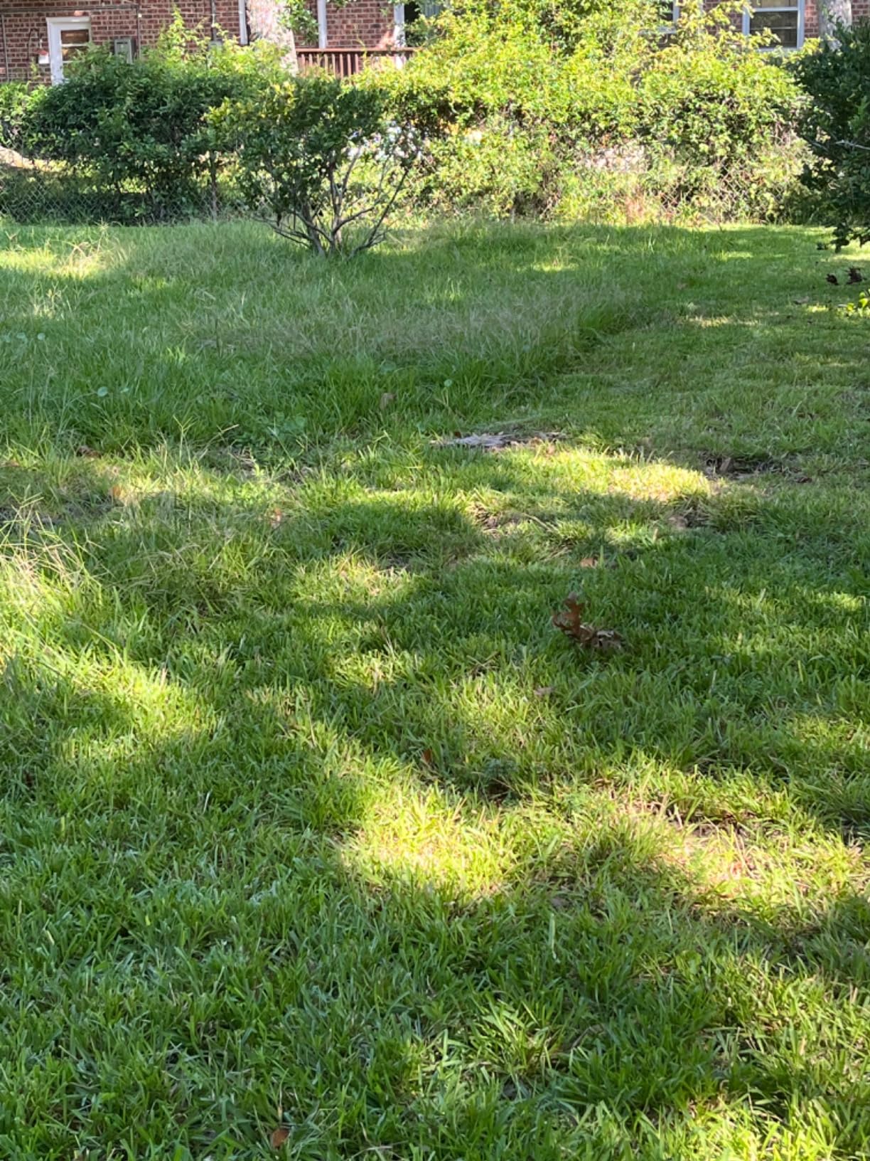 WILD BADGER POWER Lawn Mower 40V Brushless 18 WILD BADGER POWER Lawn Mower 40V Brushless 18