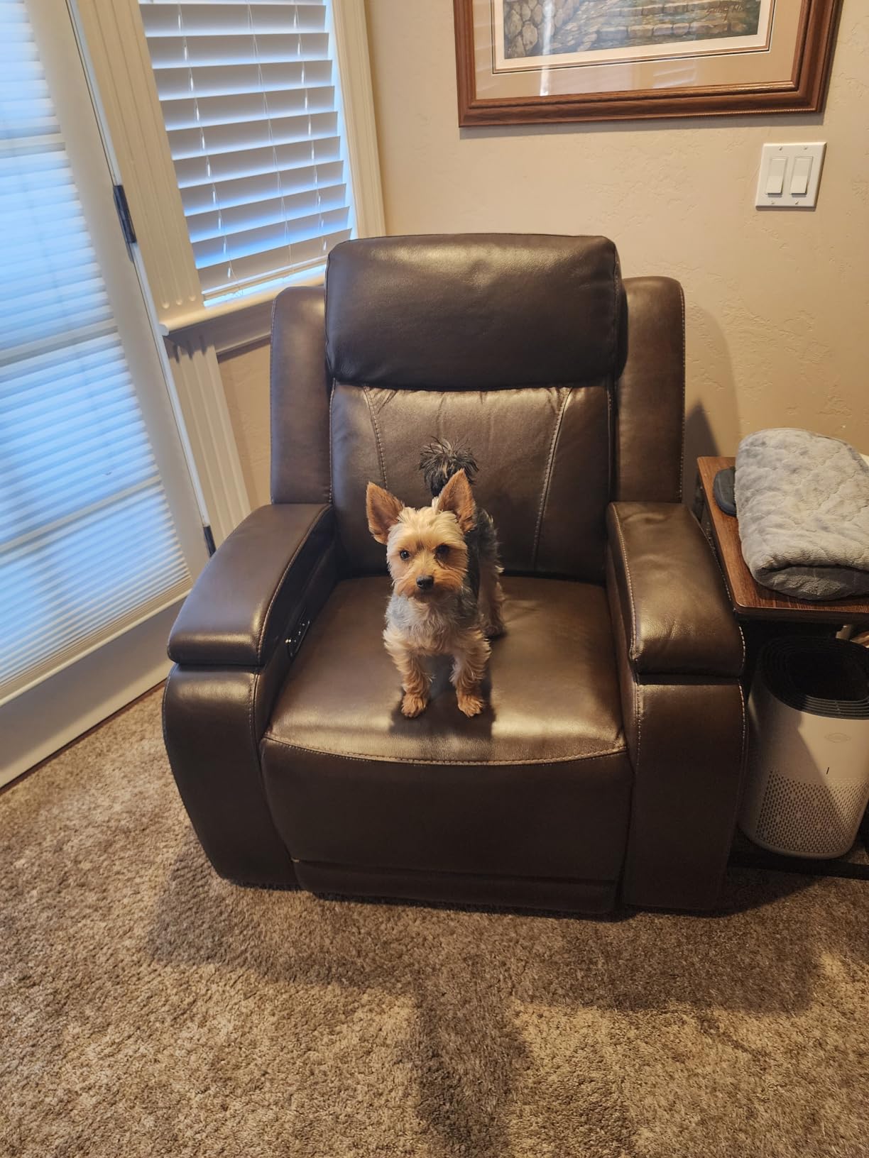 Watson & Whitely Genuine Leather Power Recliner Chairs for Adults, Zero Gravity Recliner with Power Headrest & Hidden Storage, Electric Reclining Sofa Chair for Living Room, Home Office, Saddle Brown Customer Review Image 1 Watson & Whitely Genuine Leather Power Recliner Chairs for Adults, Zero Gravity Recliner with Power Headrest & Hidden Storage, Electric Reclining Sofa Chair for Living Room, Home Office, Saddle Brown - Customer Photo 1 - RosenberryRooms
