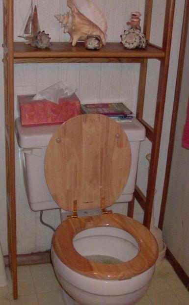 Designer Solid Round Toilet Seat in Oak Customer Review Designer Solid Round Toilet Seat in Oak - Customer Photo 1