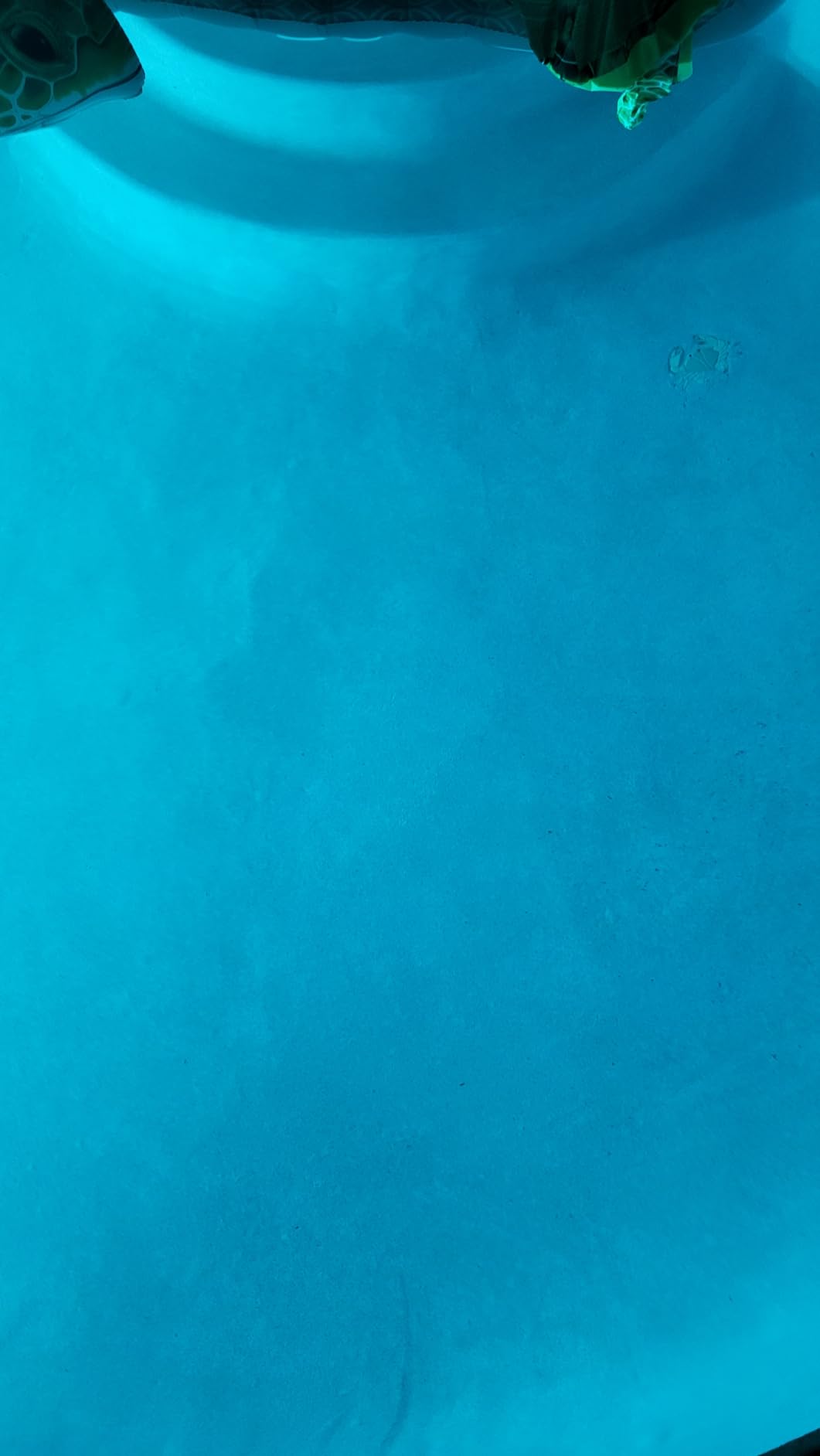 Taylor K2005 High Range Swimming Pool Total and Free Chlorine Bromine Alkalinity Calcium Hardness Base and Acid Demand pH DP Test Kit Customer Review Taylor K2005 High Range Swimming Pool Total and Free Chlorine Bromine Alkalinity Calcium Hardness Base and Acid Demand pH DP Test Kit - Customer Photo 1