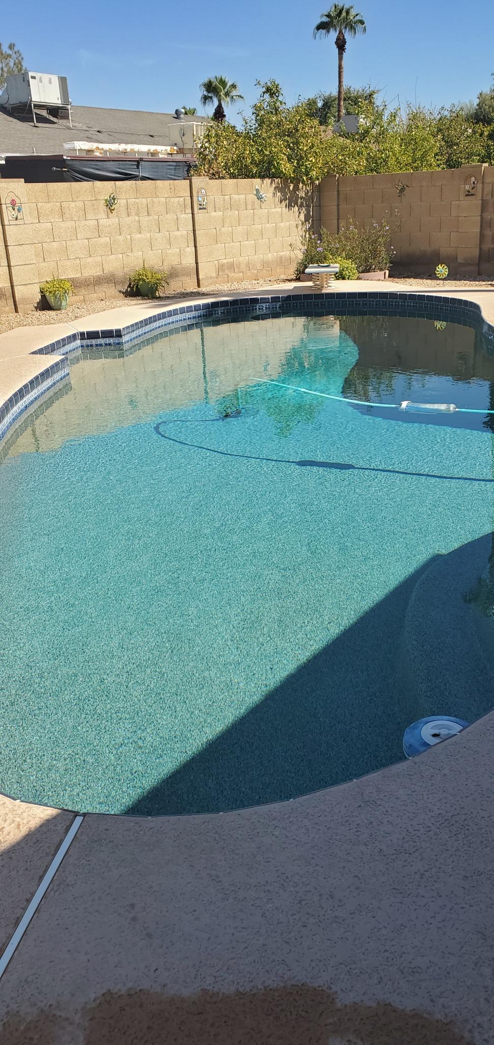 In The Swim Super Algaecide for Above Ground or Inground Swimming Pools – Low Odor, Non-Foaming Preventative for Yellow/Mustard Algae in Swimming Pools - 7.1% Chelated Copper – 1 Quart Customer Review In The Swim Super Algaecide for Above Ground or Inground Swimming Pools – Low Odor, Non-Foaming Preventative for Yellow/Mustard Algae in Swimming Pools - 7.1% Chelated Copper – 1 Quart - Customer Photo 2