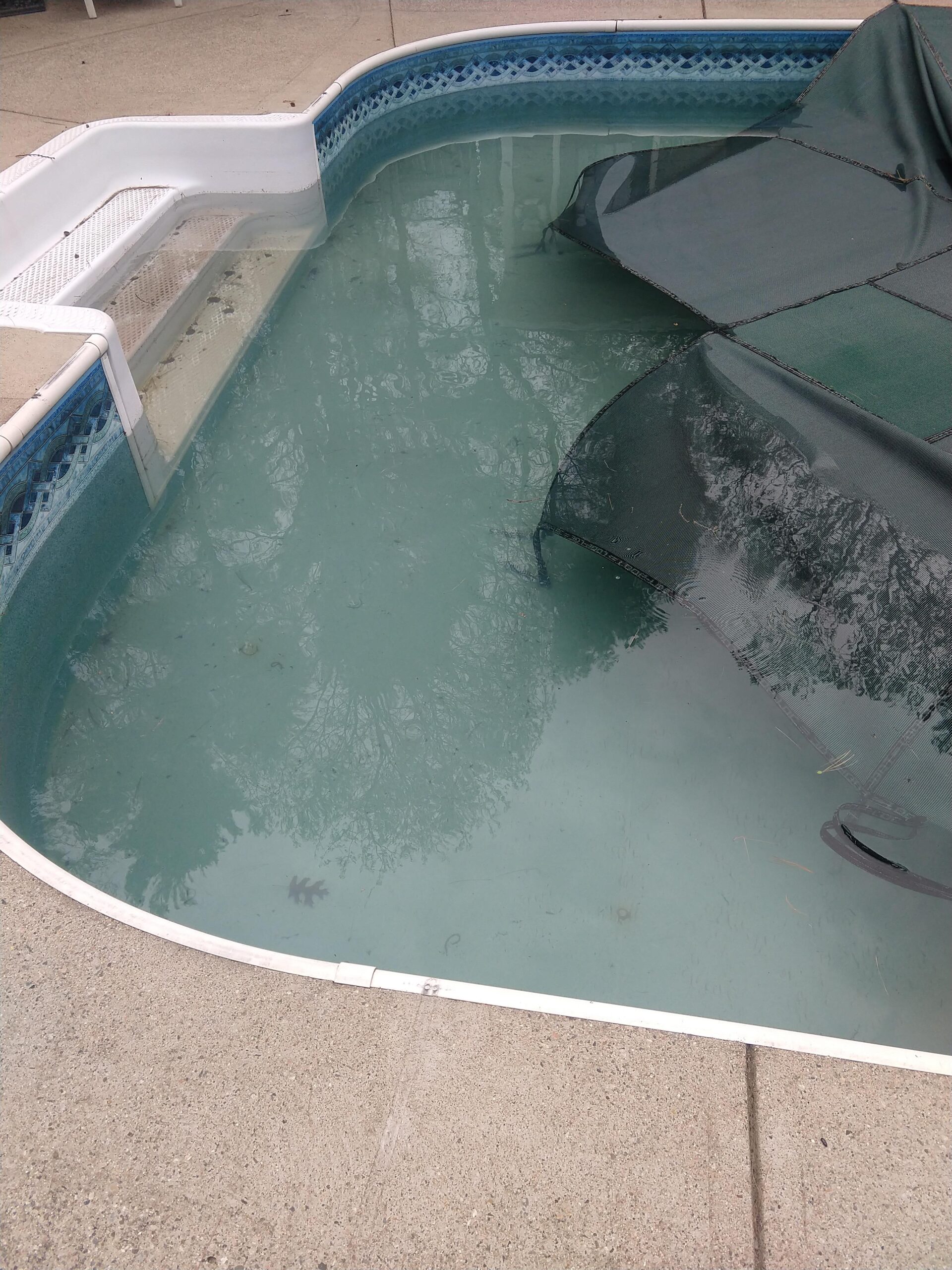 In The Swim Winter Swimming Pool Algaecide - 1 Quart Customer Review In The Swim Winter Swimming Pool Algaecide - 1 Quart - Customer Photo 1