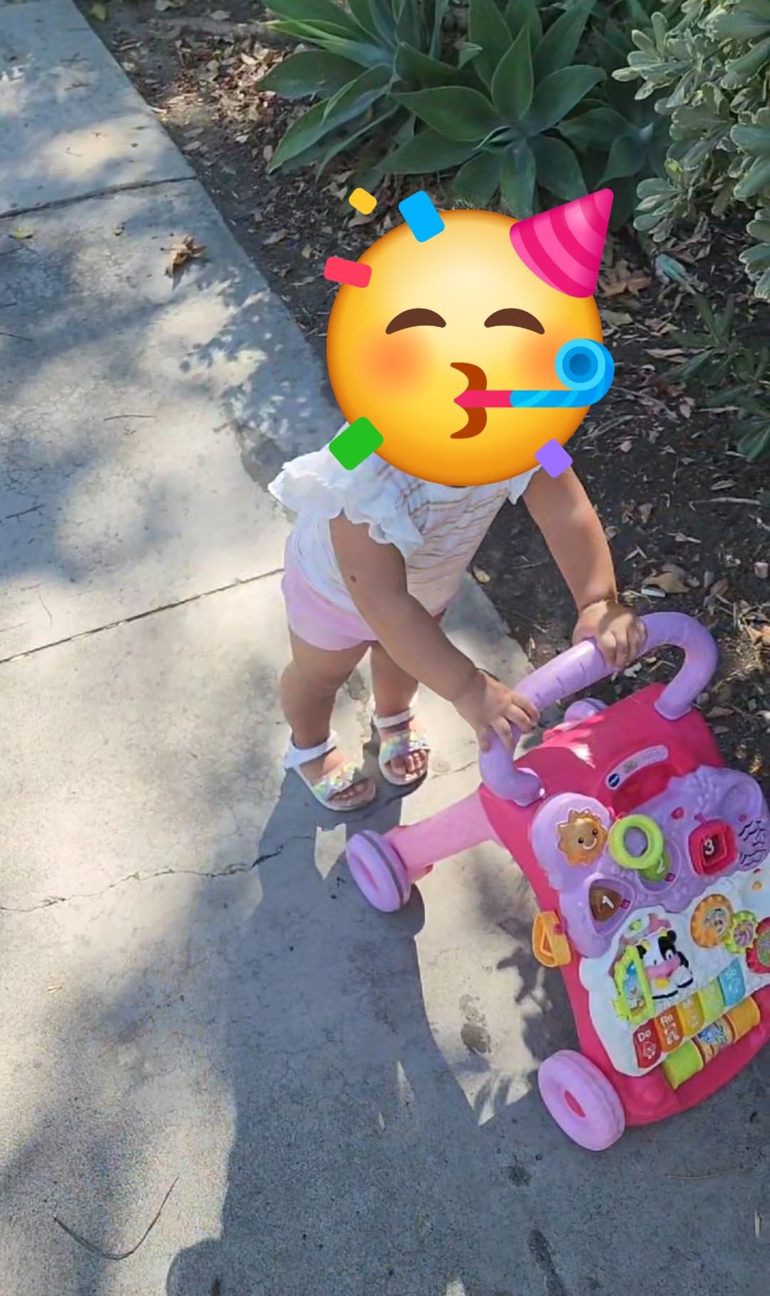 VTech Sit-to-Stand Learning Walker (Frustration Free Packaging) Customer Review VTech Sit-to-Stand Learning Walker (Frustration Free Packaging) - Customer Photo 2