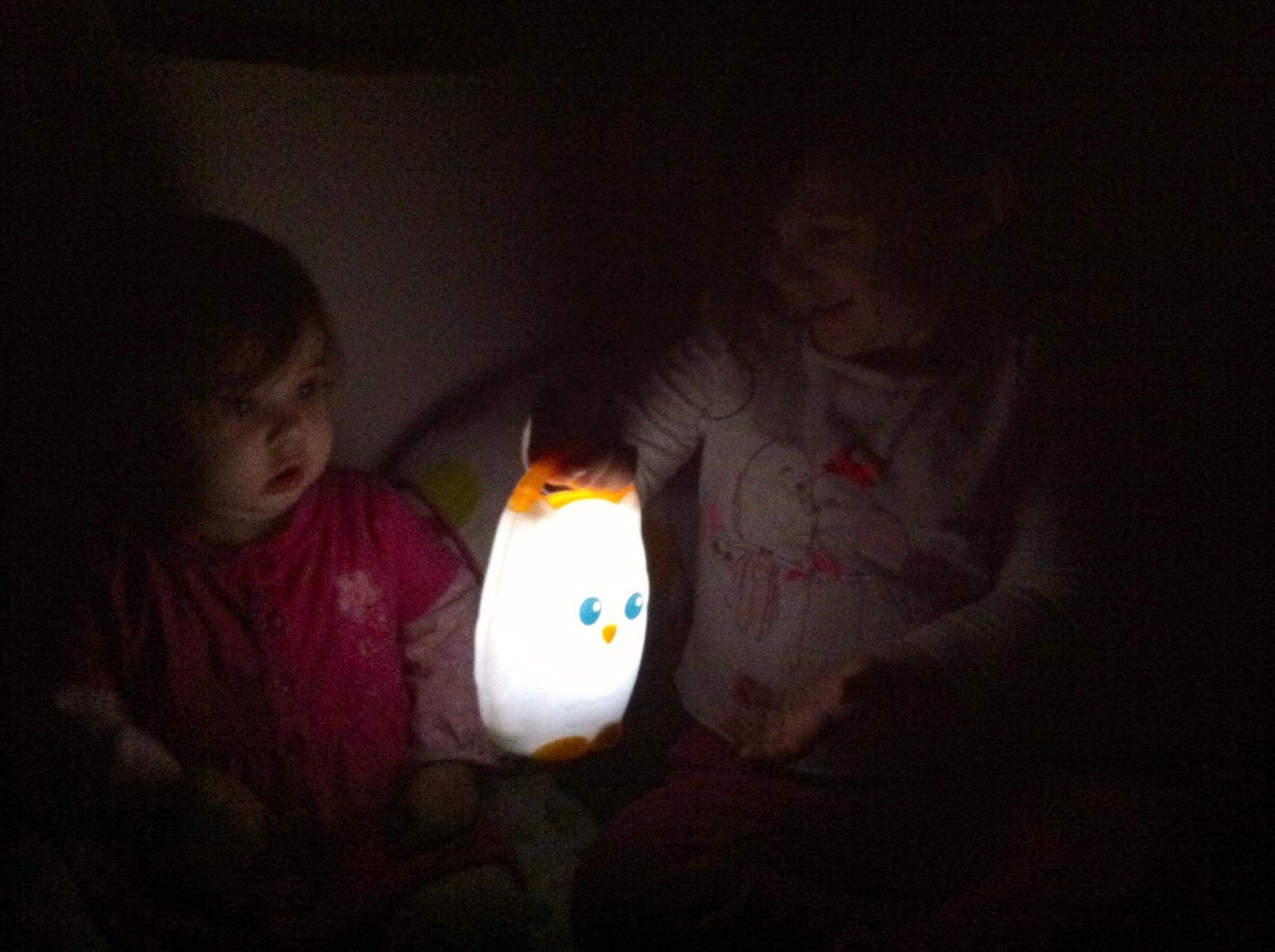 Munchkin® Light My Way™ LED Nightlight for Toddlers and Kids, Owl Customer Review Munchkin® Light My Way™ LED Nightlight for Toddlers and Kids, Owl - Customer Photo 2