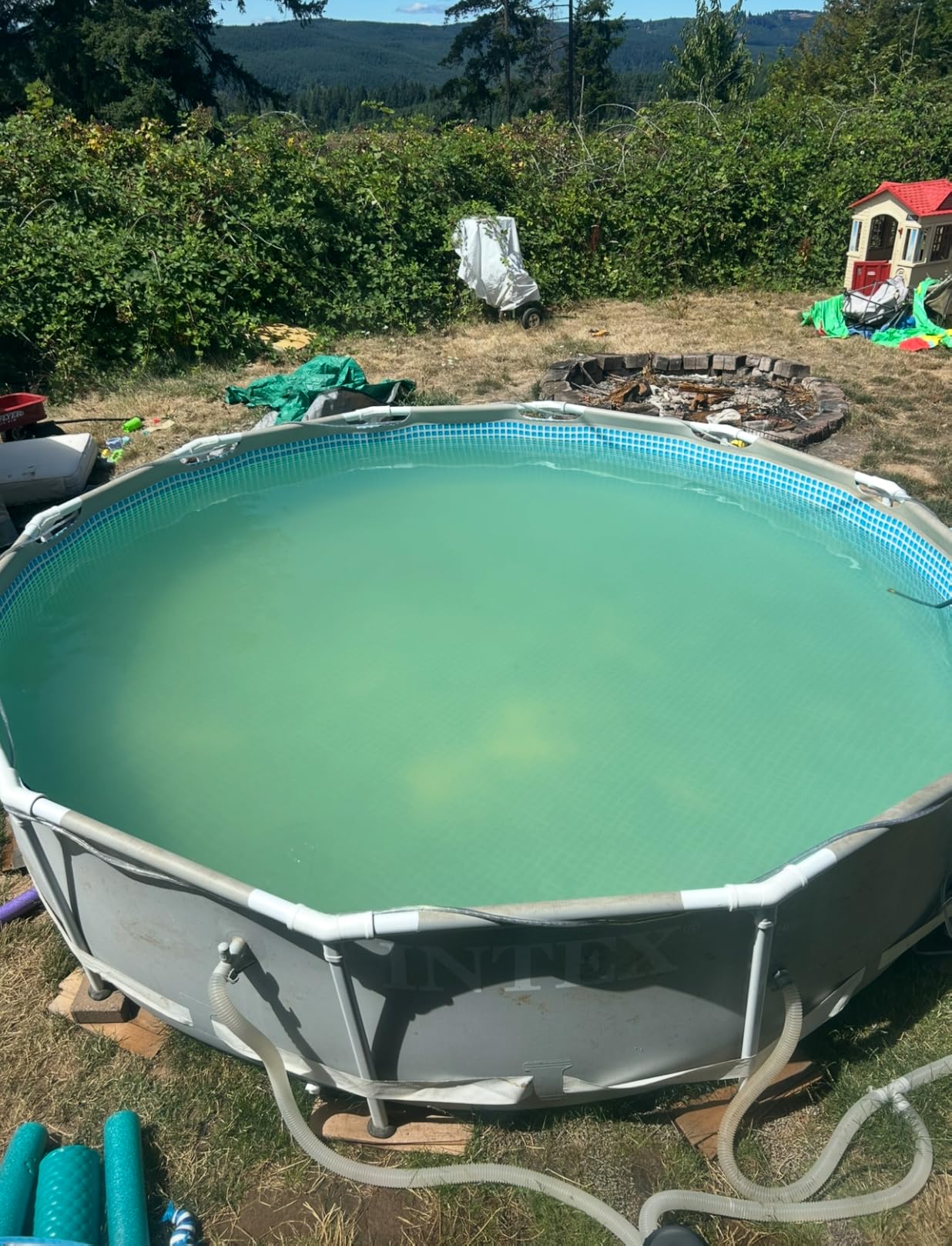 Clorox® Pool&Spa™ Swimming Pool Algaecide, Prevents and Treats Pool Algae, Non-Foaming, 1 Quart (Pack of 1) Customer Review Clorox® Pool&Spa™ Swimming Pool Algaecide, Prevents and Treats Pool Algae, Non-Foaming, 1 Quart (Pack of 1) - Customer Photo 2