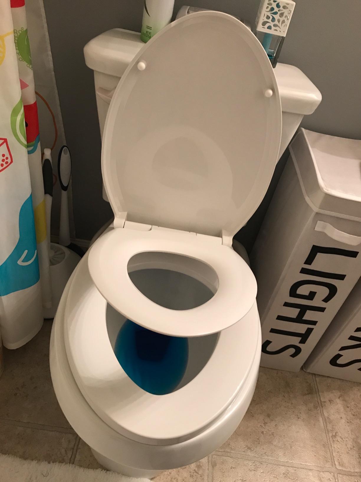 Delta Faucet Sanborne Elongated Nightlight Toilet Seat - Comfortable, Soft-Close Toilet Seat with Convenient Quick-Release Technology Customer Review Delta Faucet Sanborne Elongated Nightlight Toilet Seat - Comfortable, Soft-Close Toilet Seat with Convenient Quick-Release Technology - Customer Photo 1
