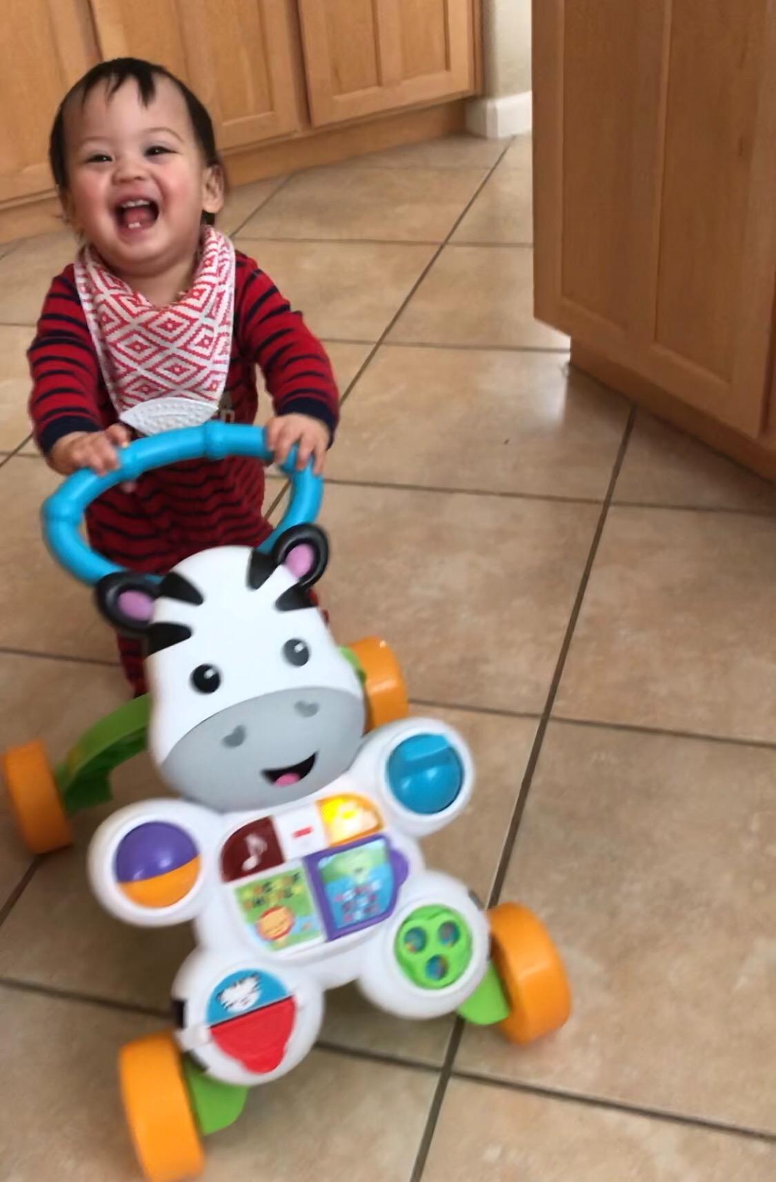 Fisher-Price Baby Push Toy Learn with Me Zebra Walker Musical Learning Activity with Lights & Fine Motor Play for Infants Ages 6+ Months (Amazon Exclusive) Customer Review Fisher-Price Baby Push Toy Learn with Me Zebra Walker Musical Learning Activity with Lights & Fine Motor Play for Infants Ages 6+ Months (Amazon Exclusive) - Customer Photo 1