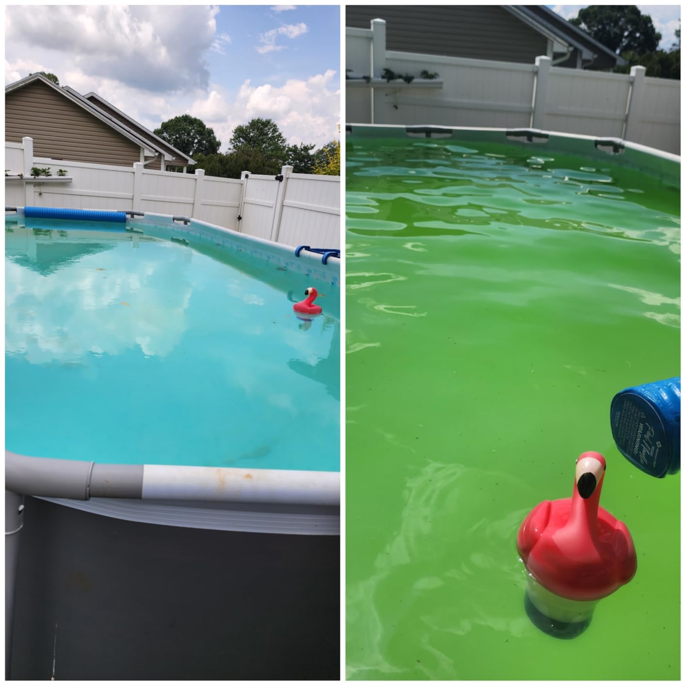 Intex Krystal Clear Saltwater System for Above-Ground Pools up to 15,000 Gallons Customer Review Intex Krystal Clear Saltwater System for Above-Ground Pools up to 15,000 Gallons - Customer Photo 2