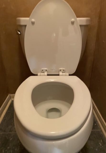 Mayfair Linden Slow Close Toilet Seat, Non Slip Heavy Duty Wood, Easy Install, Elongated, White Customer Review Mayfair Linden Slow Close Toilet Seat, Non Slip Heavy Duty Wood, Easy Install, Elongated, White - Customer Photo 1