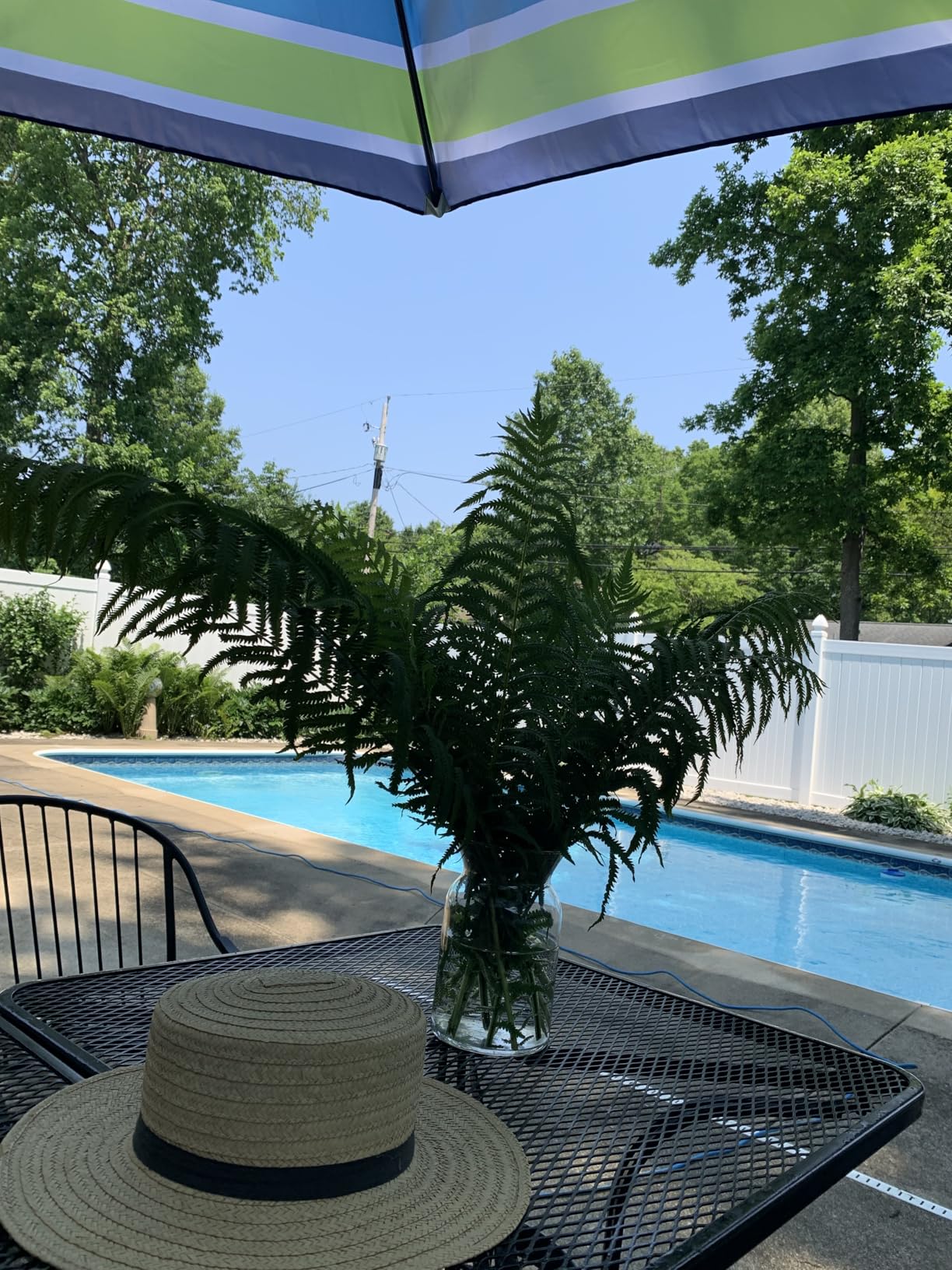 Blissun 9' Outdoor Patio Umbrella, Outdoor Table Umbrella, Yard Umbrella, Market Umbrella with 8 Sturdy Ribs, Push Button Tilt and Crank - Customer Photo 2