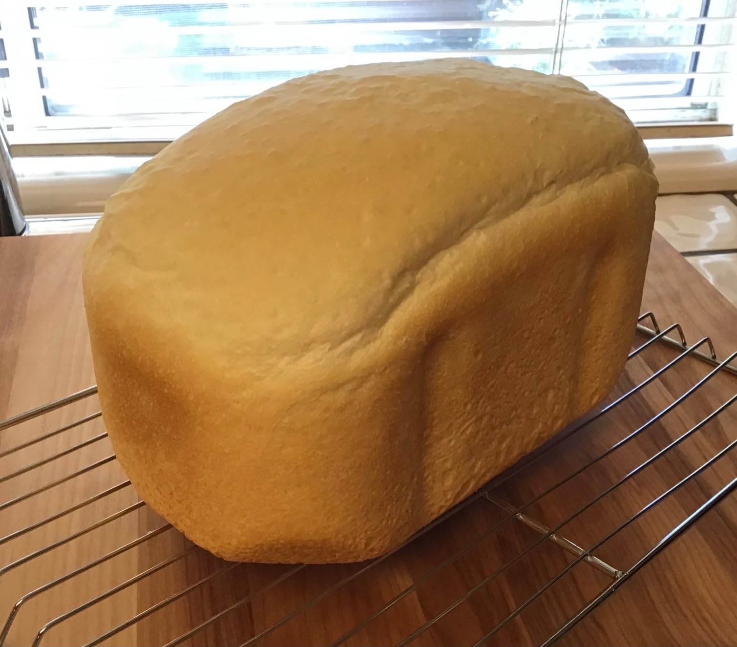 West Bend Hi-Rise Bread Maker Machine Programmable with Traditionally-Shaped Horizontal Bread Pan Customer Review West Bend Hi-Rise Bread Maker Machine Programmable with Traditionally-Shaped Horizontal Bread Pan - Customer Photo 1