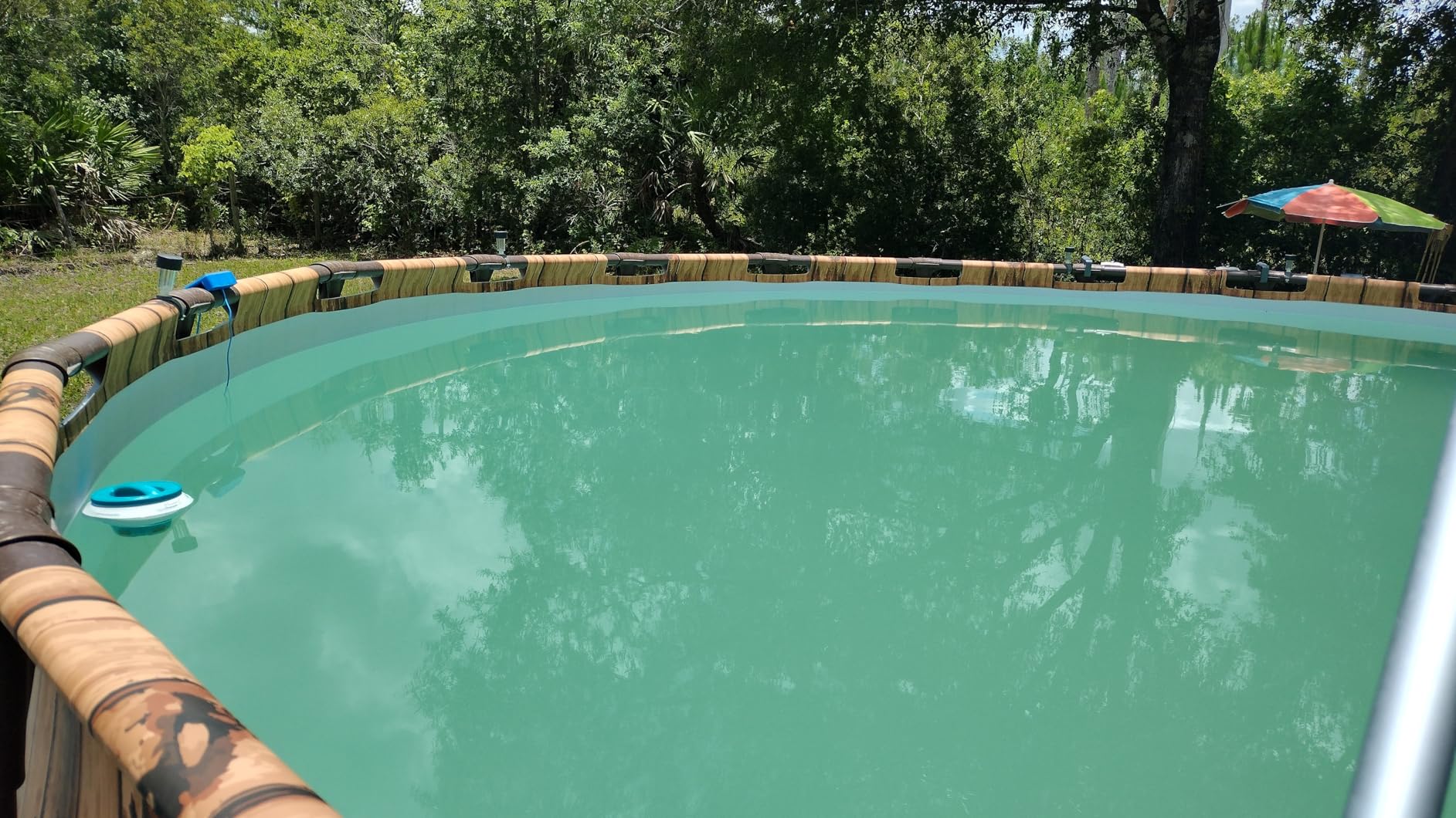 Intex SX2100 Krystal Clear Sand Filter Pump for Above Ground Pools: 2100 GPH Pump Flow Rate – Improved Circulation and Filtration – Easy Installation – Improved Water Clarity – Easy-to-Clean Customer Review Intex SX2100 Krystal Clear Sand Filter Pump for Above Ground Pools: 2100 GPH Pump Flow Rate – Improved Circulation and Filtration – Easy Installation – Improved Water Clarity – Easy-to-Clean - Customer Photo 1