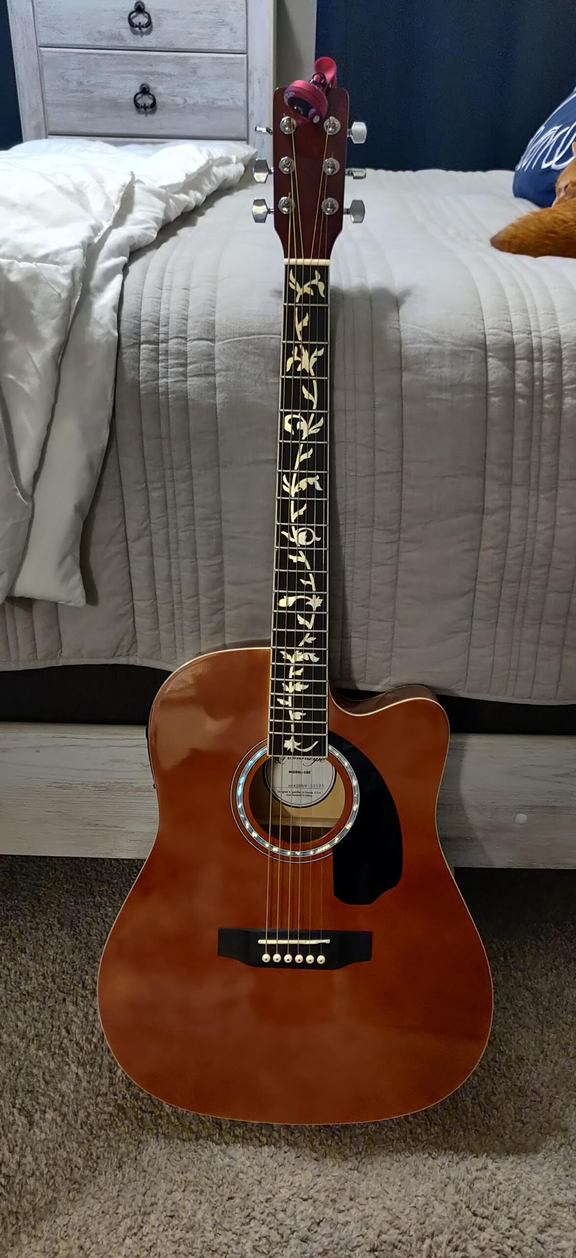 Ashthorpe Full-Size Cutaway Thinline Acoustic-Electric Guitar Package - Premium Tonewoods - Black Customer Review Ashthorpe Full-Size Cutaway Thinline Acoustic-Electric Guitar Package - Premium Tonewoods - Black - Customer Photo 2