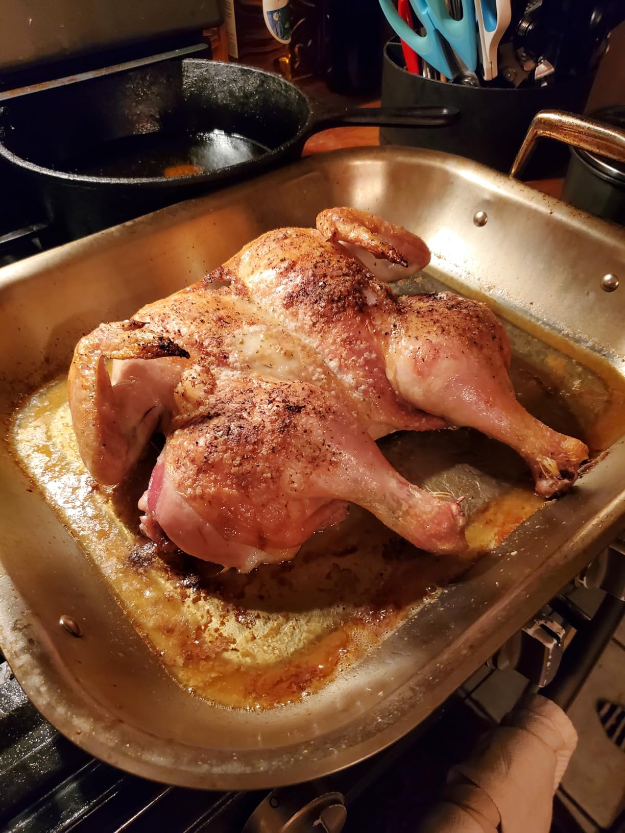 Tramontina 16.75-Inch Stainless Steel Roasting Pan with Rack Customer Review Tramontina 16.75-Inch Stainless Steel Roasting Pan with Rack - Customer Photo 1