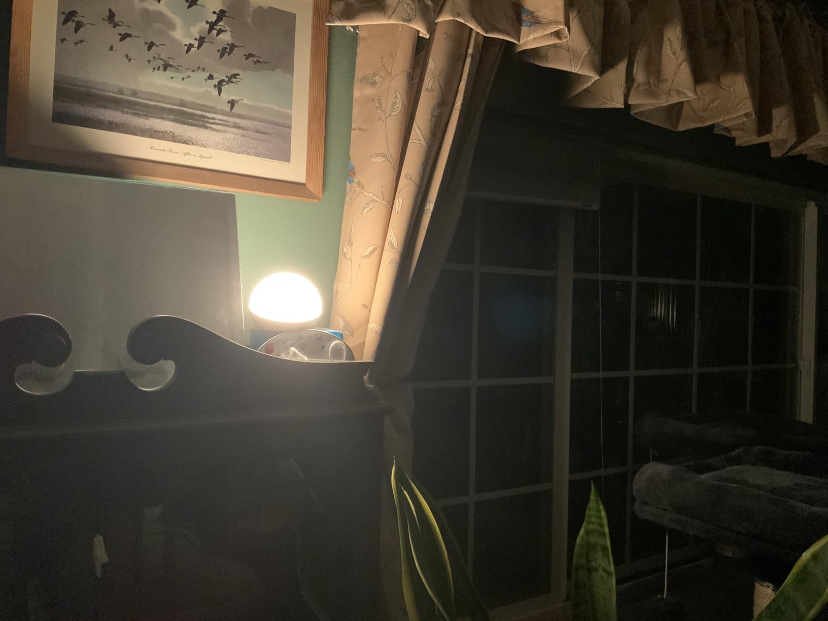 Echo Glow - Multicolor smart lamp, Works with Alexa Customer Review Echo Glow - Multicolor smart lamp, Works with Alexa - Customer Photo 1