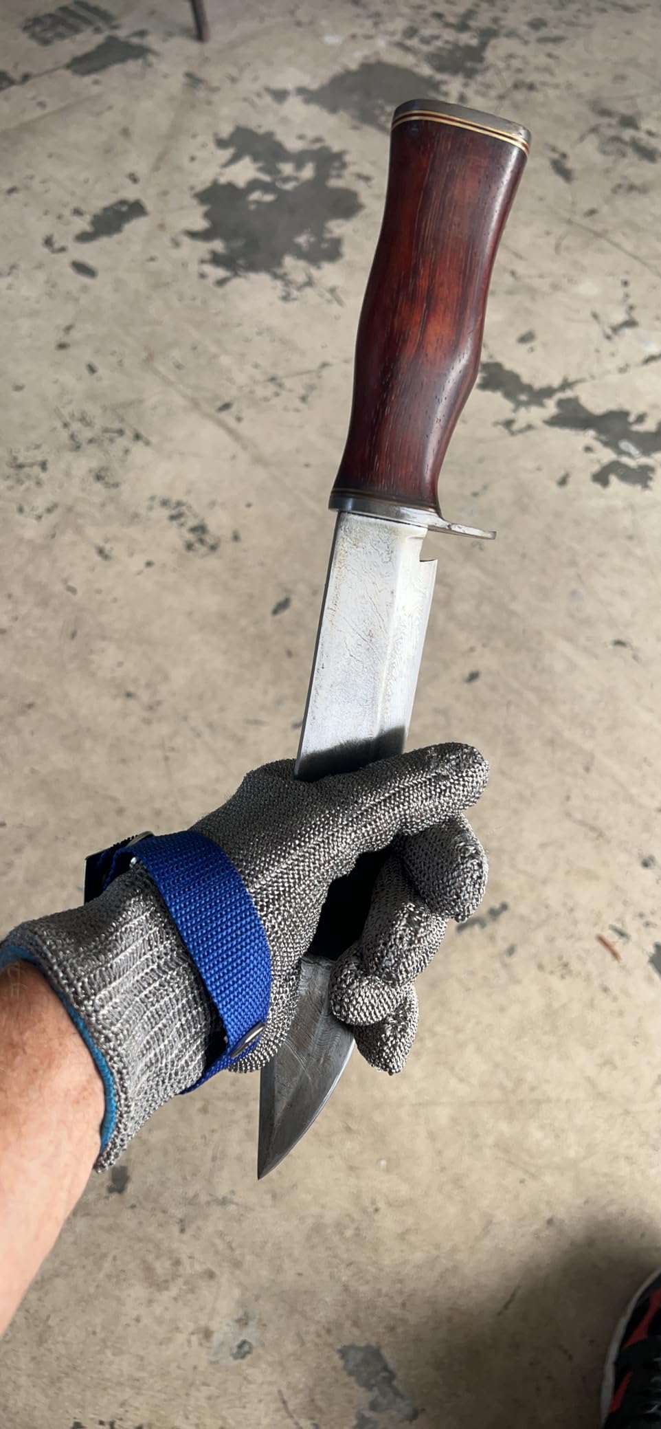 Schwer SlicePro ANSI A9 Cut Resistant Glove PR1706, Stainless Steel Mesh Metal Glove, Food Grade for Kitchen Cooking, Butcher Meat Cutting, Oyster Shucking, Mandoline, Fishing, Non-PFAS(L, 1 Pair) Customer Review Schwer SlicePro ANSI A9 Cut Resistant Glove PR1706, Stainless Steel Mesh Metal Glove, Food Grade for Kitchen Cooking, Butcher Meat Cutting, Oyster Shucking, Mandoline, Fishing, Non-PFAS(L, 1 Pair) - Customer Photo 1