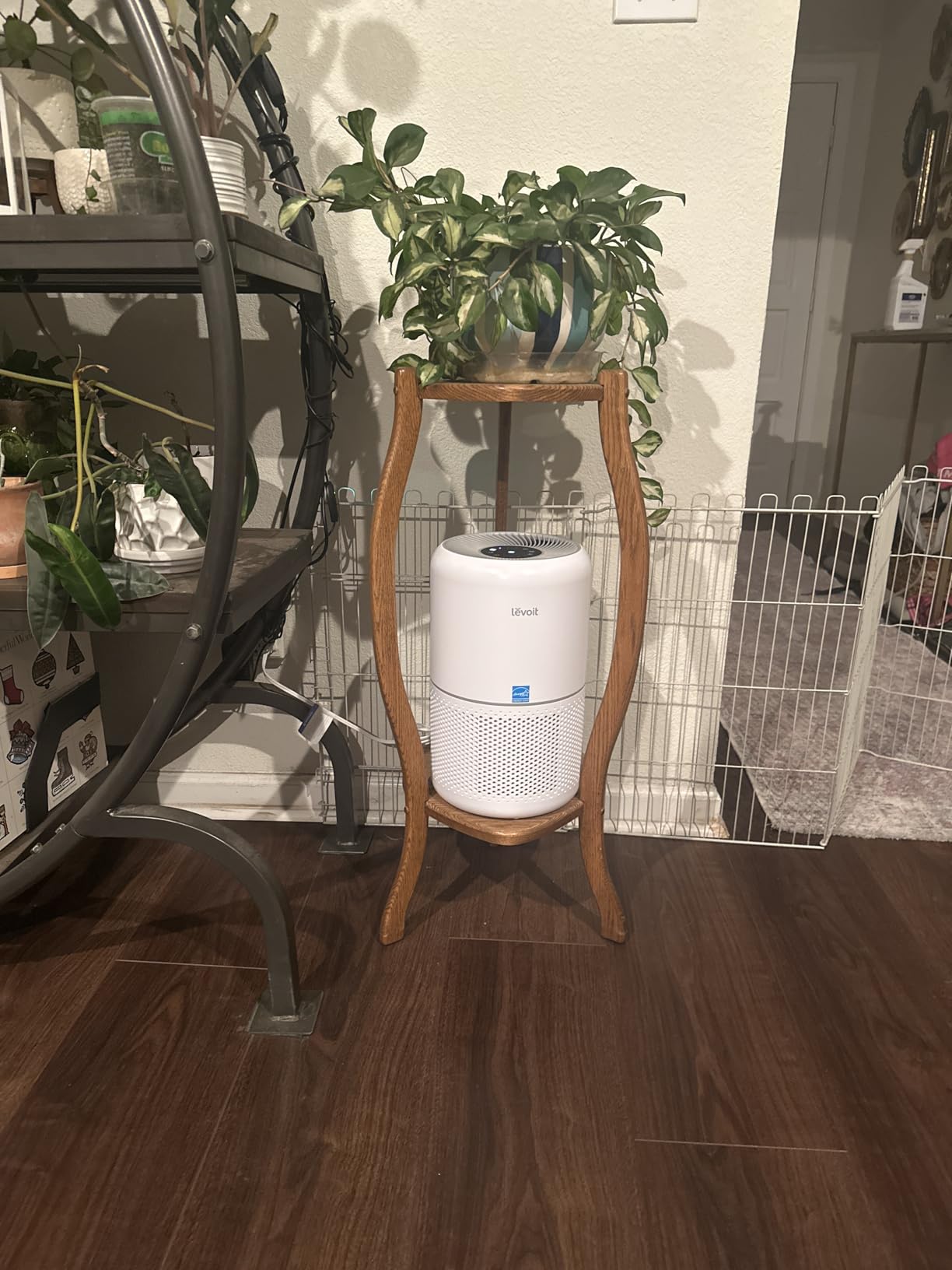 LEVOIT Air Purifier for Home Allergies Pet Hair in BedroomCovers Up to 1073 ft² by 56W High Torque MotorAHAM VERIFIDE3-in-1 Filter with HEPA Sleep ModeRemove Dust Smoke OdorCore300-PWhite - Customer Photo 2