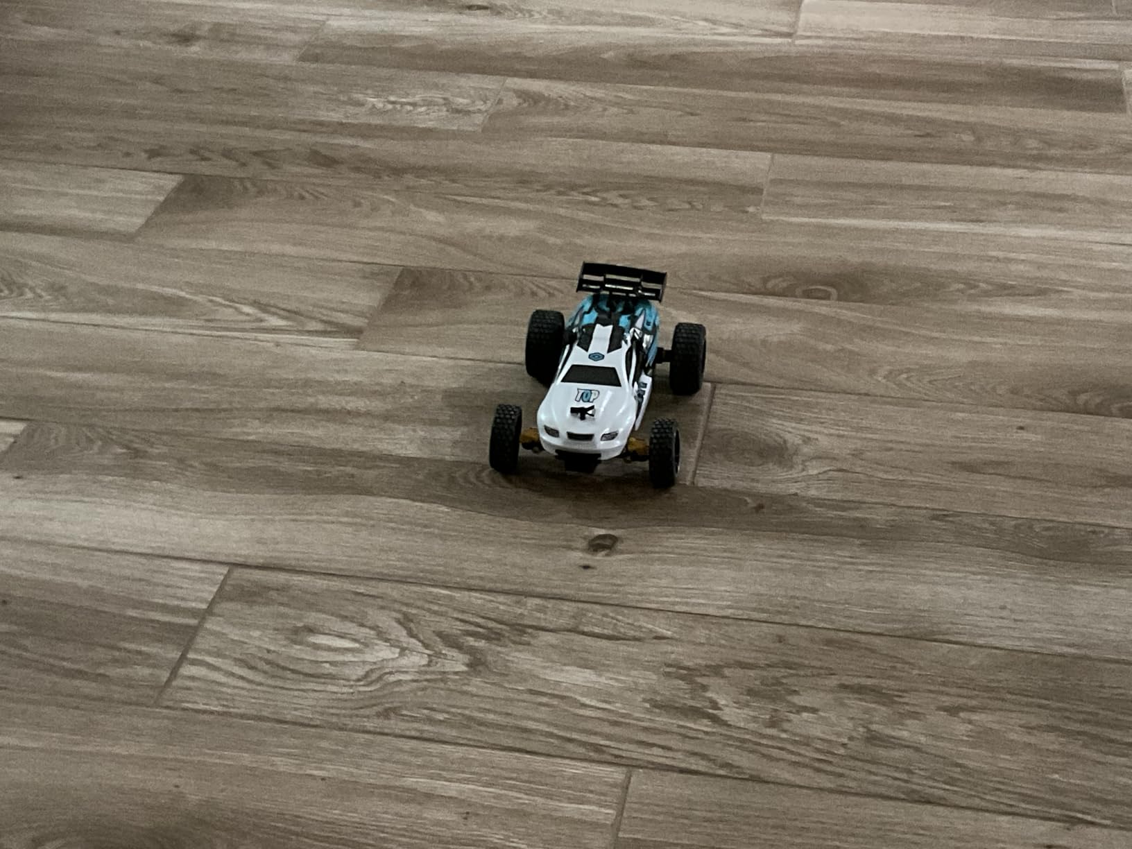 Tecnock RC Cars Remote Control Car for Kids, 1:18 Scale 20 KM/H 2WD Offroad Buggy, 2.4GHz RC Racing Car with USB-C Easy Charging & 50 Mins Playtime, Toys Gifts for Boys & Girls Customer Review Tecnock RC Cars Remote Control Car for Kids, 1:18 Scale 20 KM/H 2WD Offroad Buggy, 2.4GHz RC Racing Car with USB-C Easy Charging & 50 Mins Playtime, Toys Gifts for Boys & Girls - Customer Photo 1