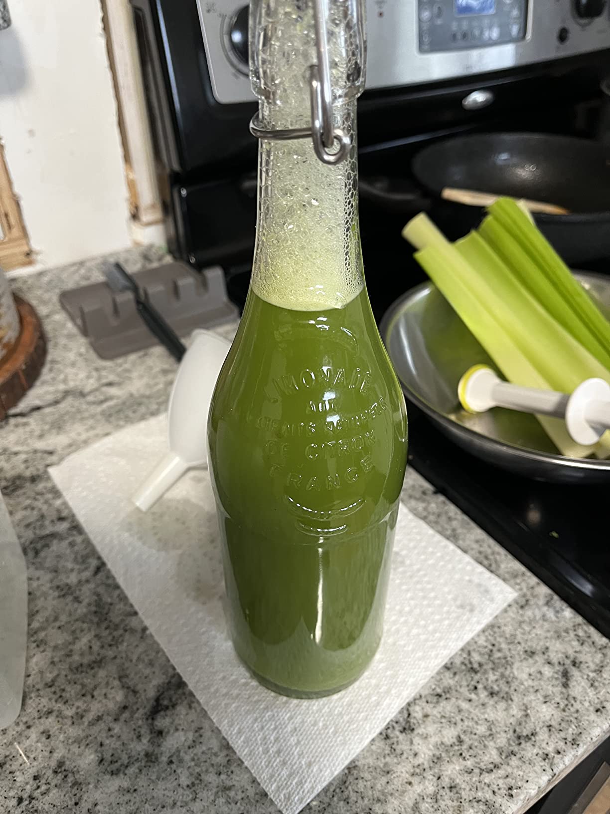 Omega Masticating Juicer, Cold Press Juicer Machine For Celery with Adjustable Dial, 200-Watts, Silver Customer Review Omega Masticating Juicer, Cold Press Juicer Machine For Celery with Adjustable Dial, 200-Watts, Silver - Customer Photo 1