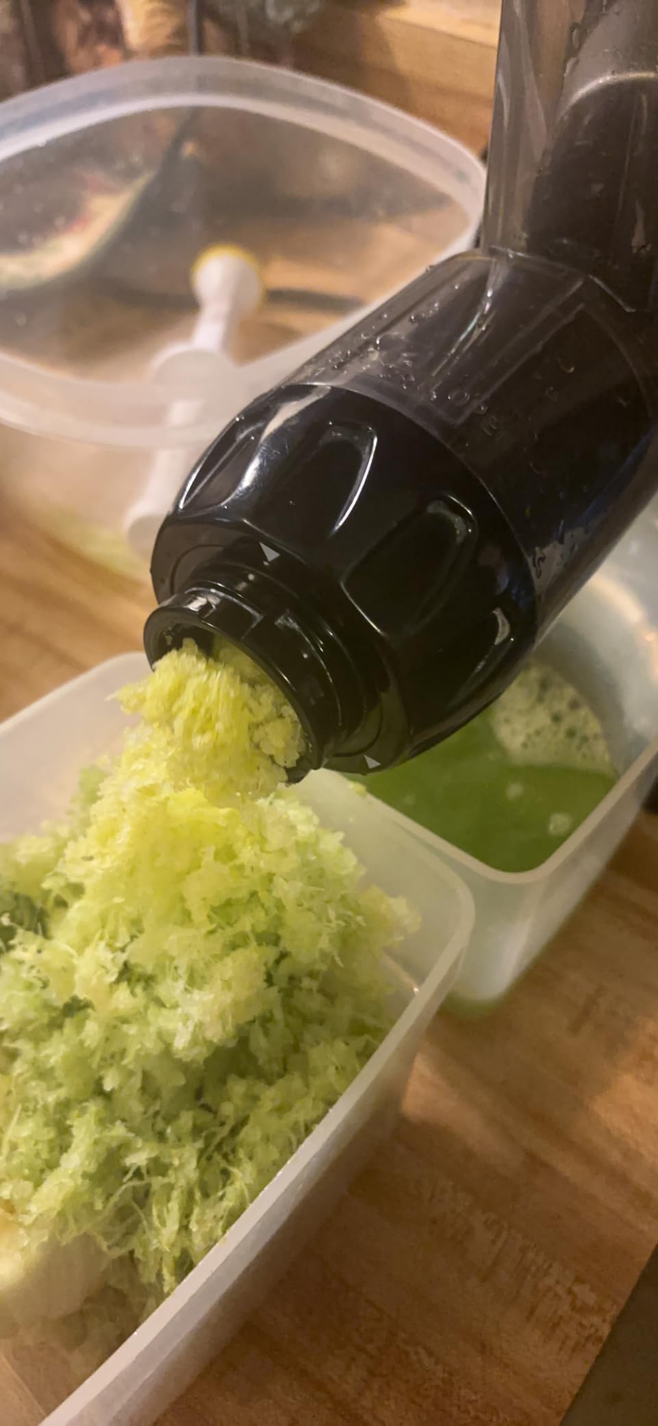 Omega Masticating Juicer, Cold Press Juicer Machine For Celery with Adjustable Dial, 200-Watts, Silver Customer Review Omega Masticating Juicer, Cold Press Juicer Machine For Celery with Adjustable Dial, 200-Watts, Silver - Customer Photo 1