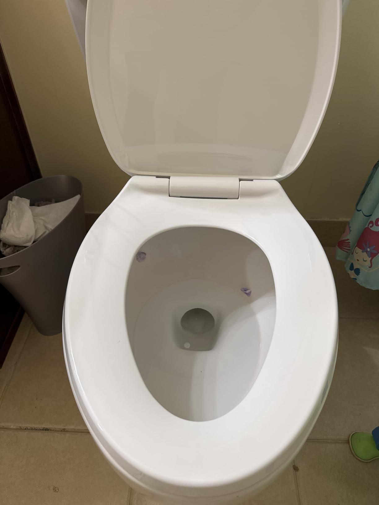 American Standard 5503A00B.020 Slow Elongated Closed Front Toilet Seat, White Customer Review American Standard 5503A00B.020 Slow Elongated Closed Front Toilet Seat, White - Customer Photo 1