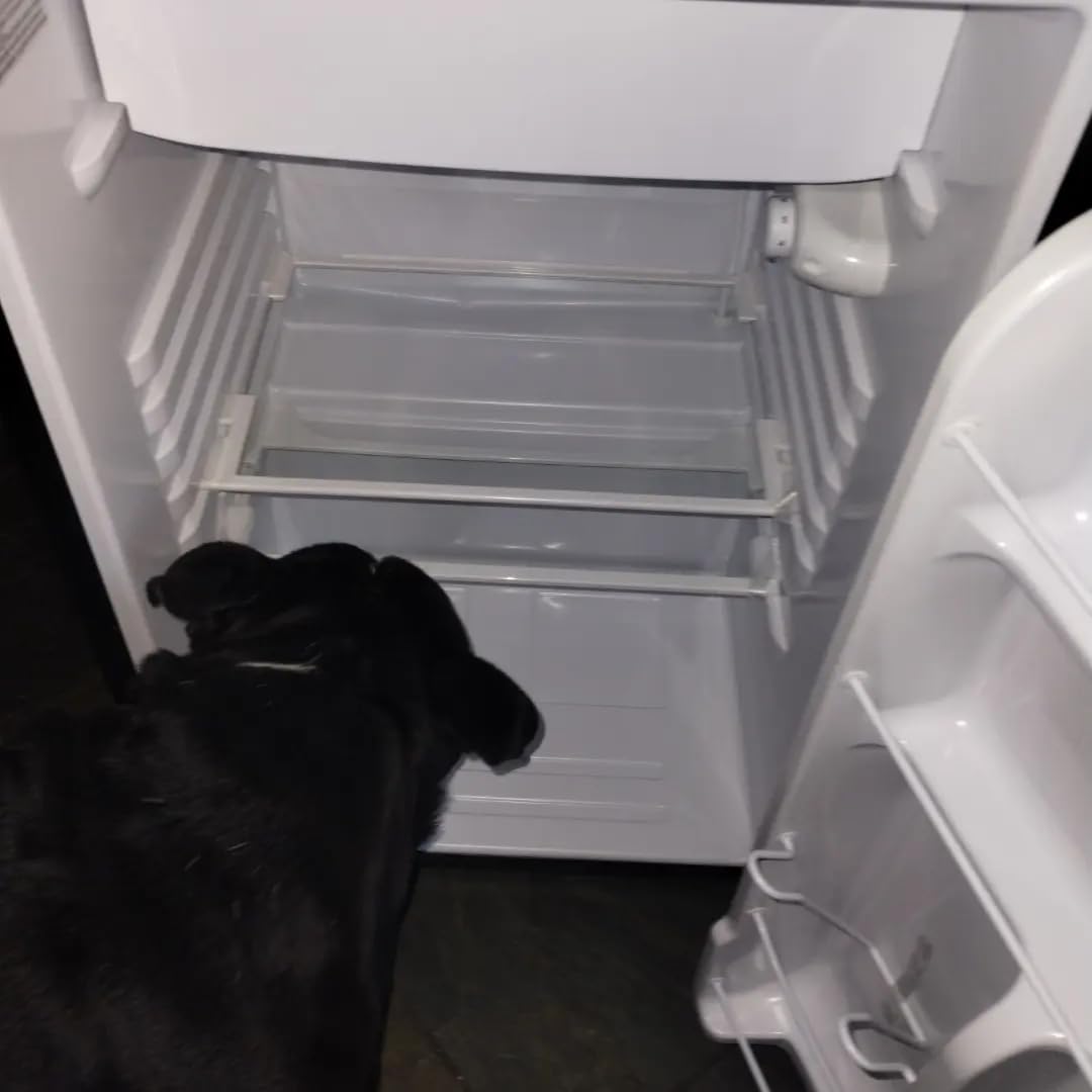 Frigidaire, 4.5 cu ft Refrigerator, Stainless Steel Door, Platinum Series Customer Review Frigidaire, 4.5 cu ft Refrigerator, Stainless Steel Door, Platinum Series - Customer Photo 1