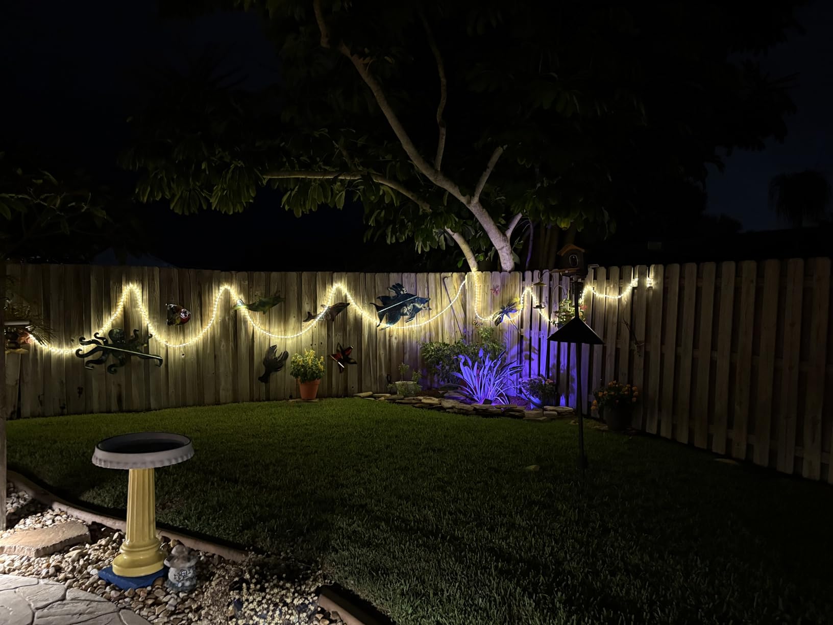 100ft LED Rope Lights Outdoor, 720 LED Connectable and Flexible Tube Lights with 8 Modes, Waterproof LED Rope Lighting for Garden, Patio, Pool, Bedroom, Party, Indoor Outdoor Decoration (White) Customer Review 100ft LED Rope Lights Outdoor, 720 LED Connectable and Flexible Tube Lights with 8 Modes, Waterproof LED Rope Lighting for Garden, Patio, Pool, Bedroom, Party, Indoor Outdoor Decoration (White) - Customer Photo 1