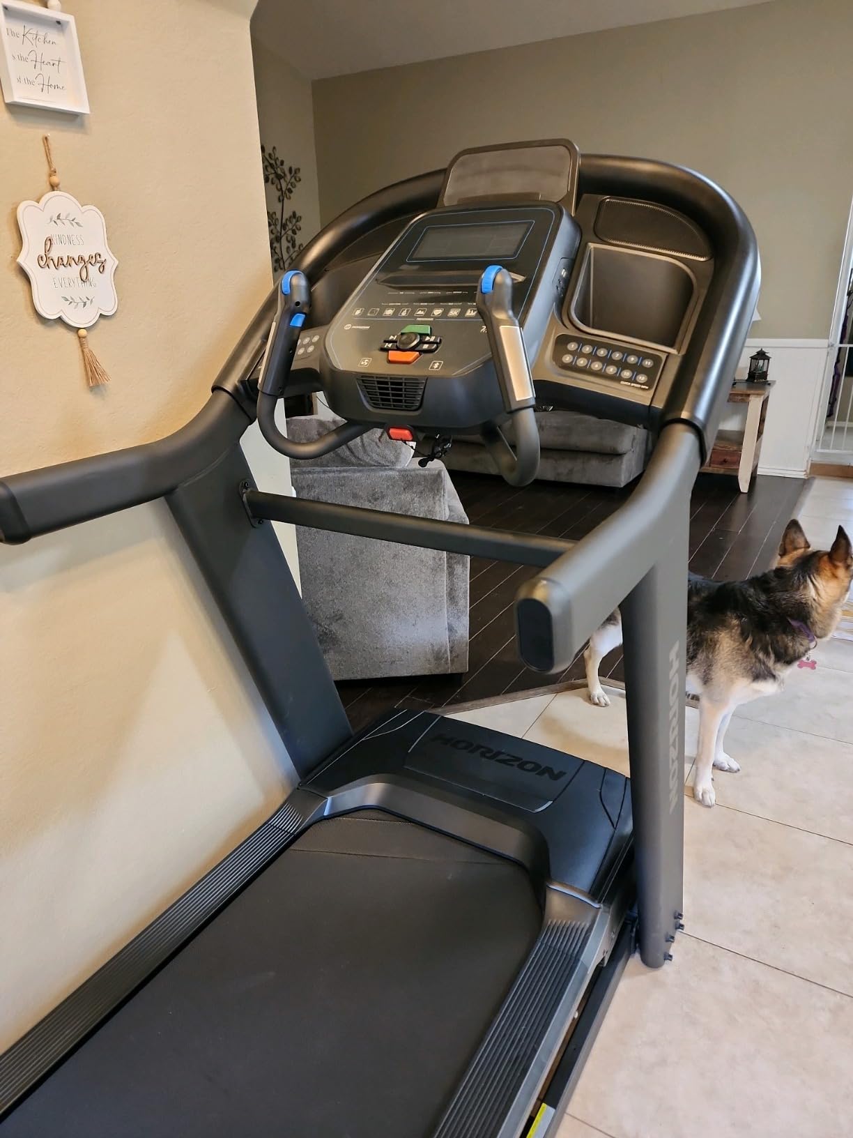 Horizon Fitness 7.4 at Studio Series Smart Treadmill with Bluetooth and Incline, Heavy Duty Folding Treadmill 350 lbs Weight Capacity, Pro Running Machine for Home Exercise and Running with Apps Customer Review Horizon Fitness 7.4 at Studio Series Smart Treadmill with Bluetooth and Incline, Heavy Duty Folding Treadmill 350 lbs Weight Capacity, Pro Running Machine for Home Exercise and Running with Apps - Customer Photo 2